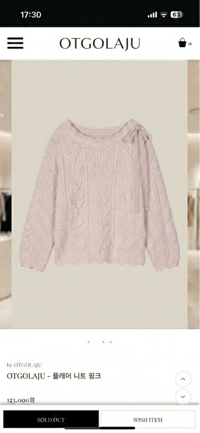 입어볼 옷 사진